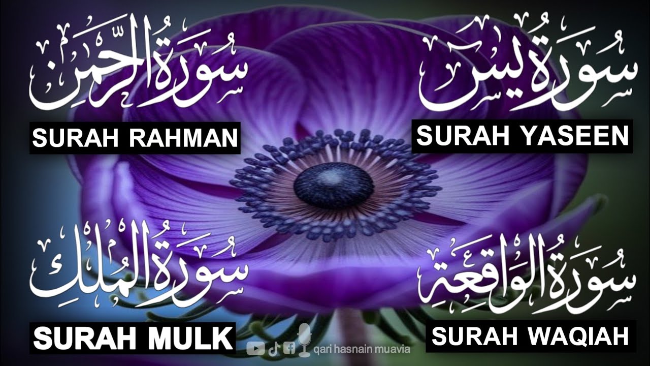 Surah Yasin ❤️ (Makki), Rahman, Waqiah & Mulk | Ep 362 | Daily Quran Recitation & Blessings