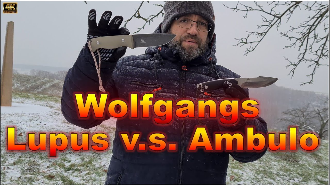 Wolfgangs Ambulo gegen Lupus Was ist für mich besser?