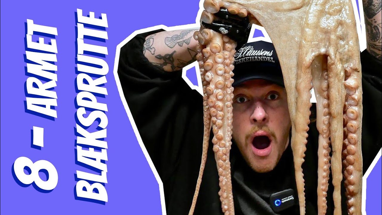 8-armet blæksprutte // Opskrifter | P. Clausens Fiskehandel
