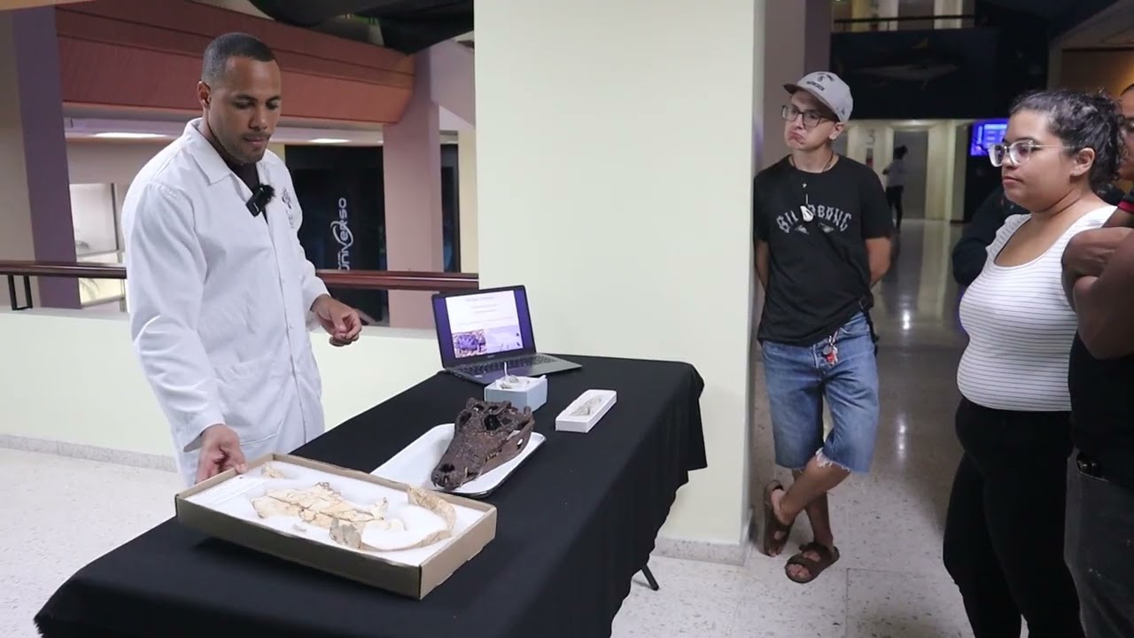 Reptiles extintos de la Hispaniola