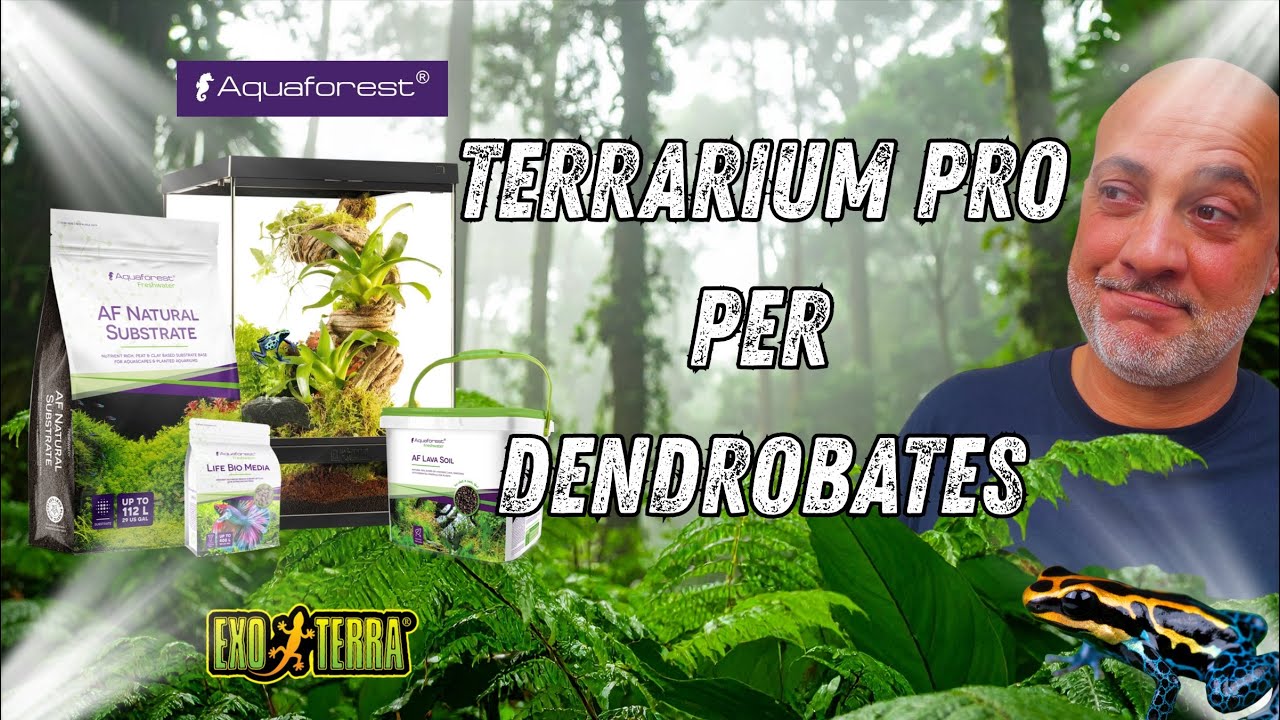 Allestimento nuovo PRO TERRARIUM EXOTERRA per Dendrobates, Rane freccia!!!