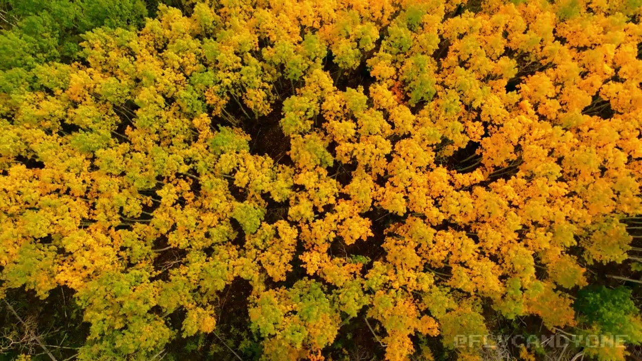 Autumn in Colorado — Piney Lake & Mount Powell | Cinematic Drone Film (4K)