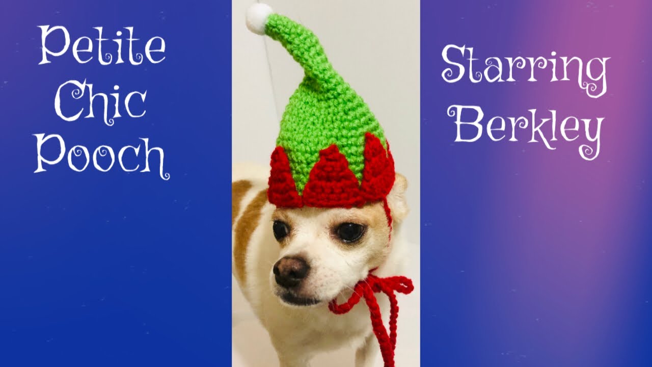 🐶Time Lapse Elf Santa Helper Dog Hat Crochet
