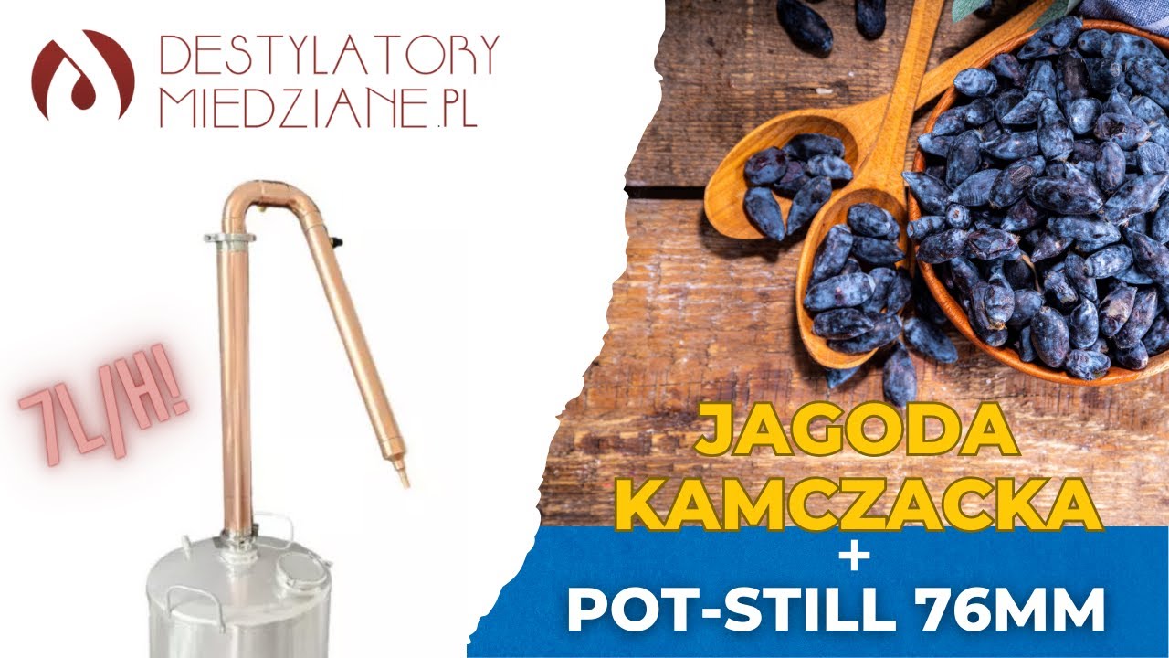 Destylat z jagody kamczackiej na Pot-Still 76mm