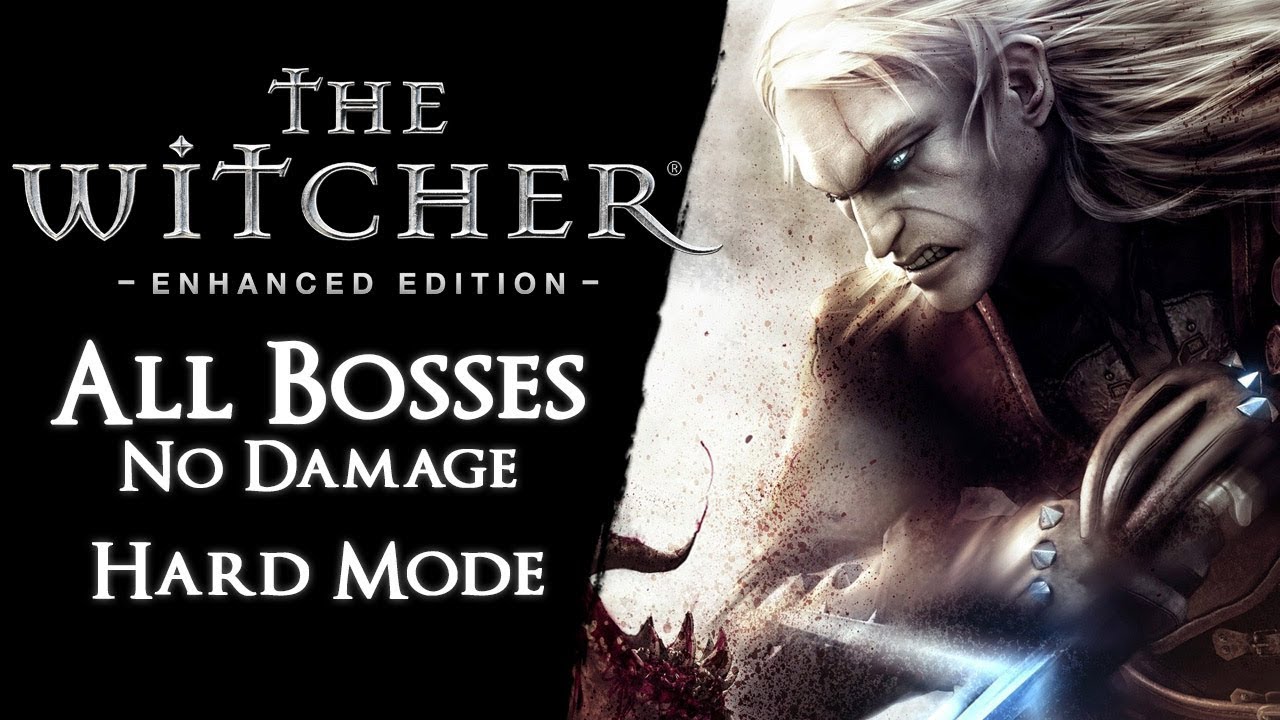 The Witcher - All Bosses on Hard【No Damage】
