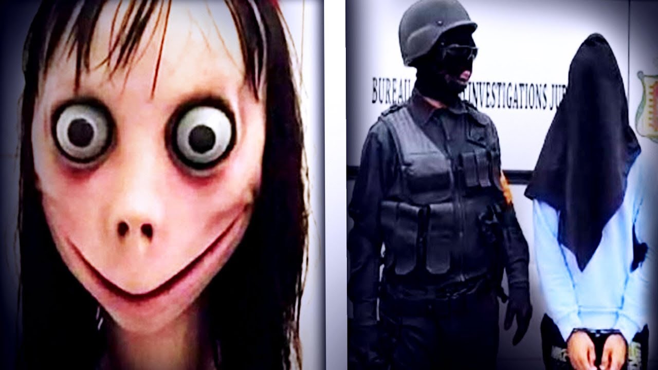 TOUTE LA FIN DE L'AFFAIRE MOMO (Thread twitter - whatsapp challenge)