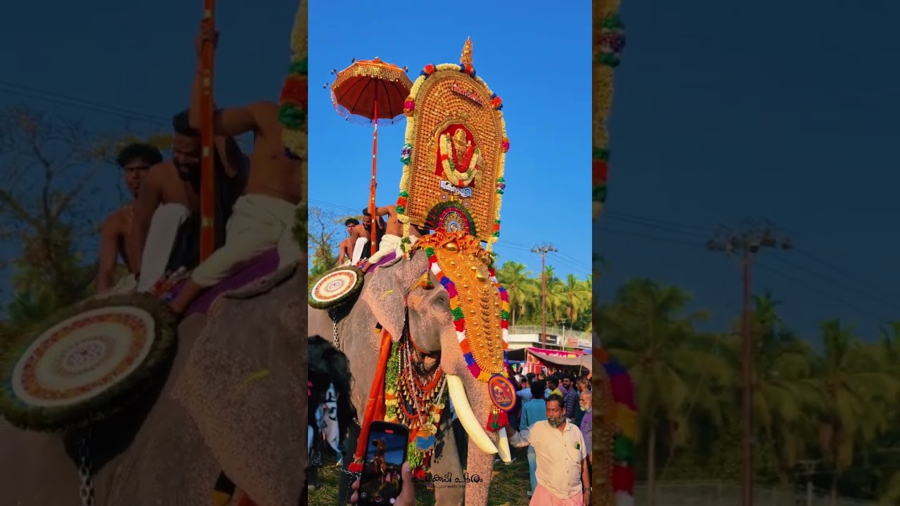 പാർക്കാടി പൂരം 2026 | #parkkadipooram2026 #pooram #elephant #vivox300series #dk_creati0ns #uthsavam