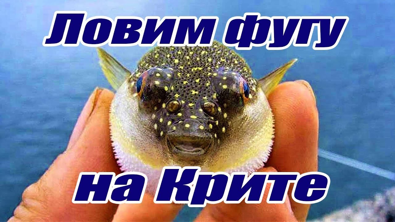 Греция Крит Рыбалка с лодки