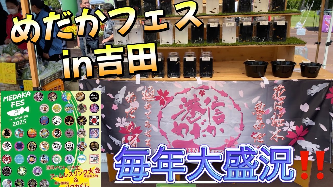 5月5日 めだかフェスin吉田　毎年大盛況イベントに出店‼️