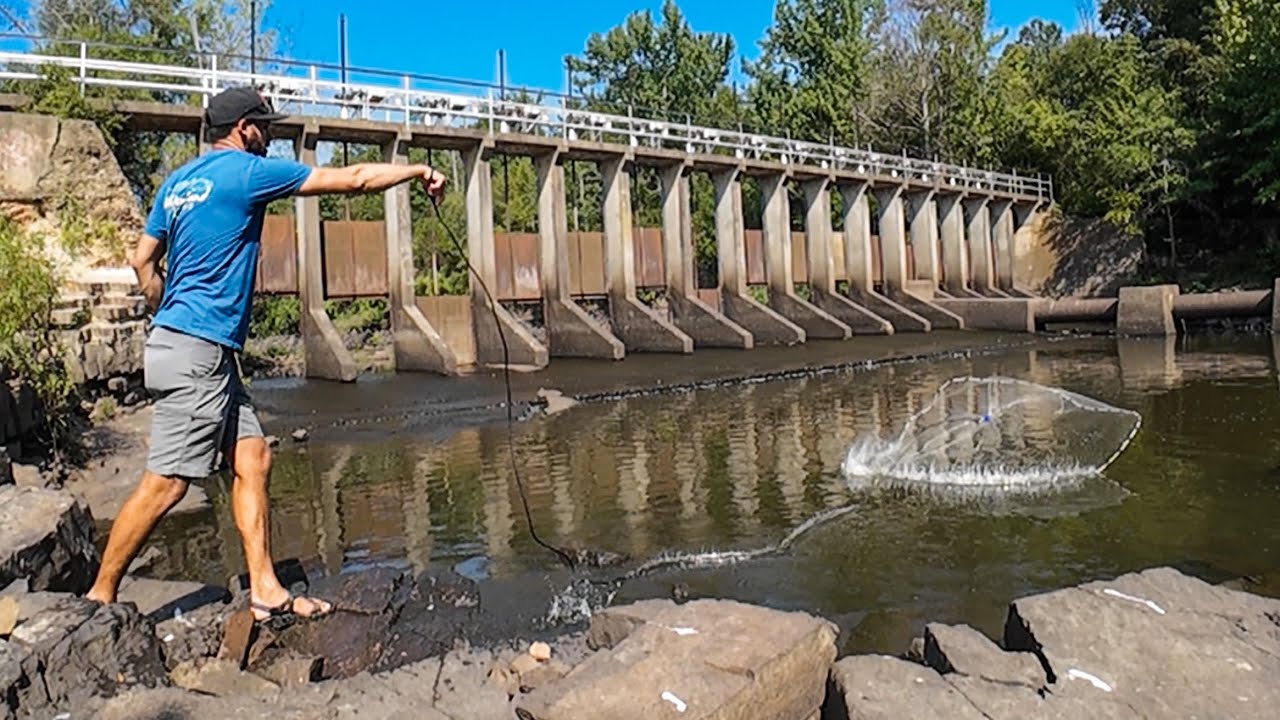 What's Really Living Beneath The Dam of the DRAINING LAKE???? (Lake Update)