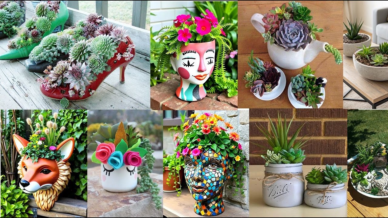 THE SUCCULENT REVELATION: 6 Designer Secrets for Breathtaking Curation
