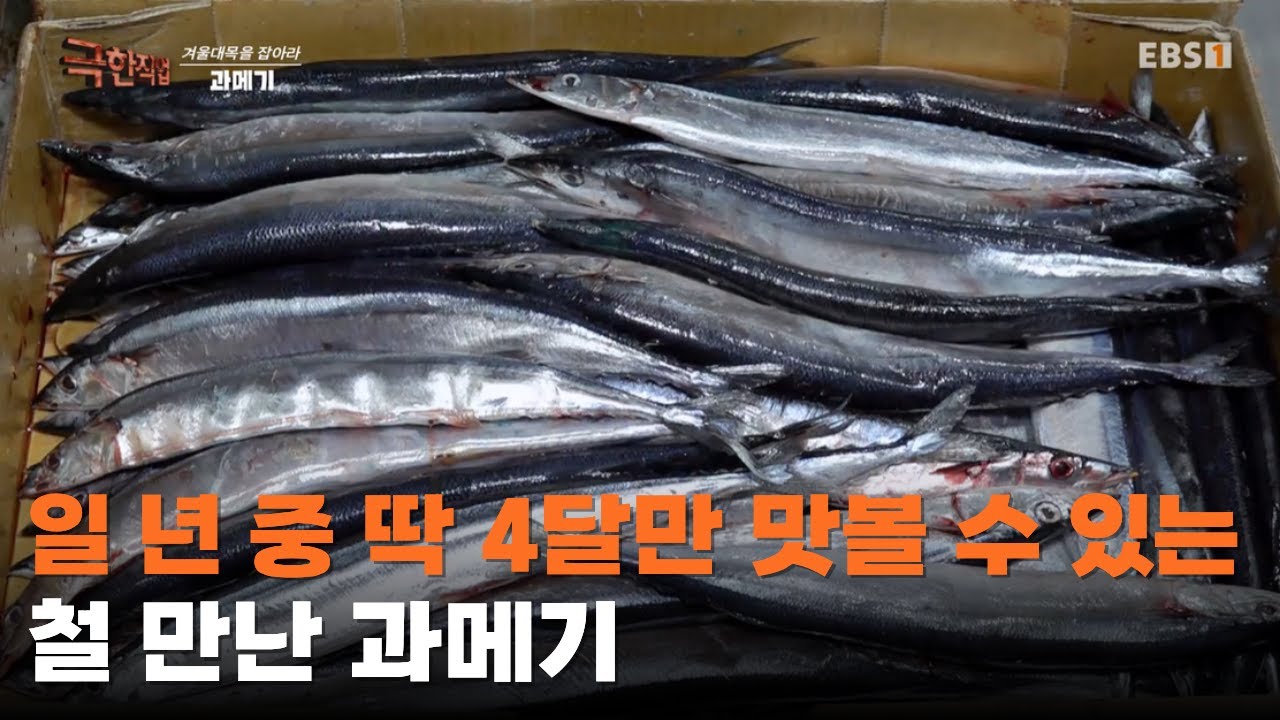지금이 가장 맛있을 때! 제철 과메기 만드는 과정ㅣ#극한직업