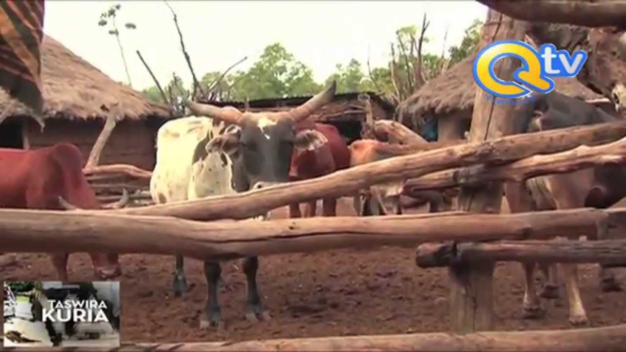 Makala Maalum: Taswira ya Kuria Mashariki - Sehemu ya Pili.