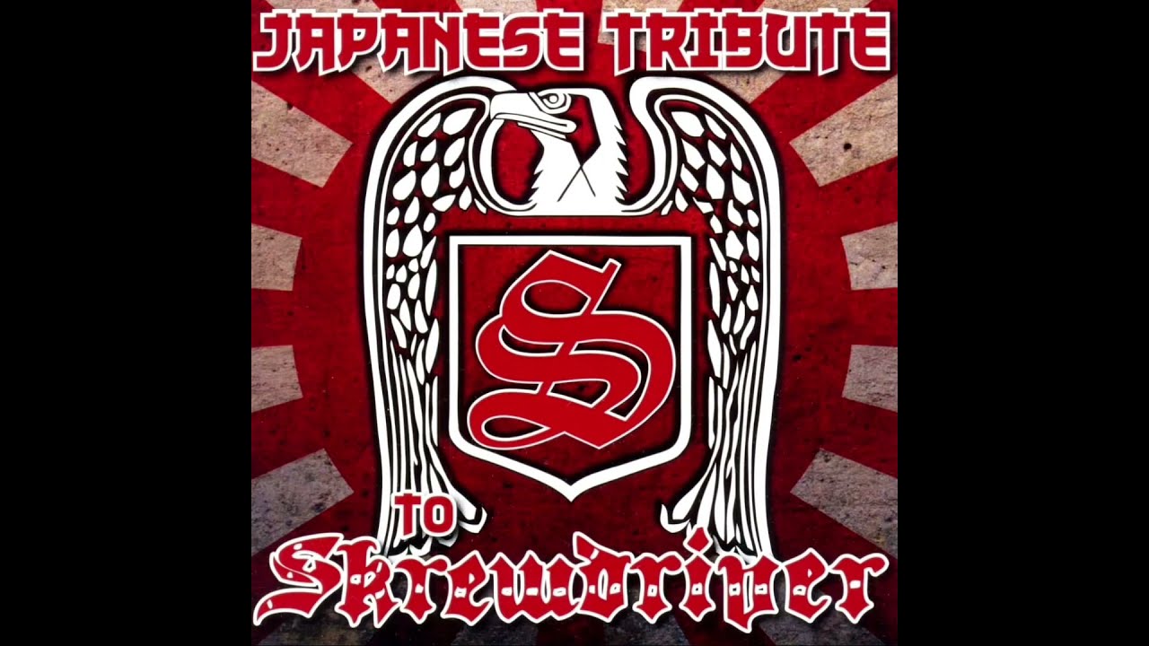 Aggro Knuckle - I Don't Like You (Cover Skrewdriver)