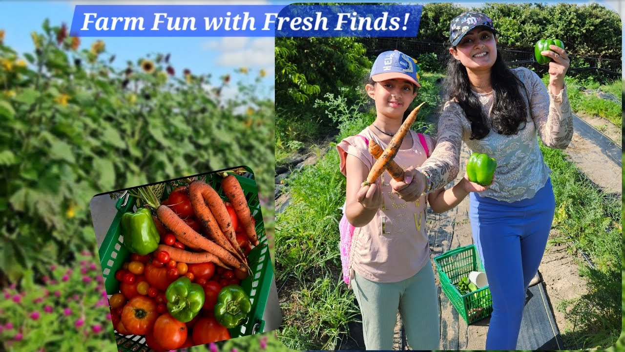 Texas Sun, Fresh Veggies, Fresh Air & Picks! Pure Land Farm Fun 🌻🥕🫑🍅 @TravelwithN3Family