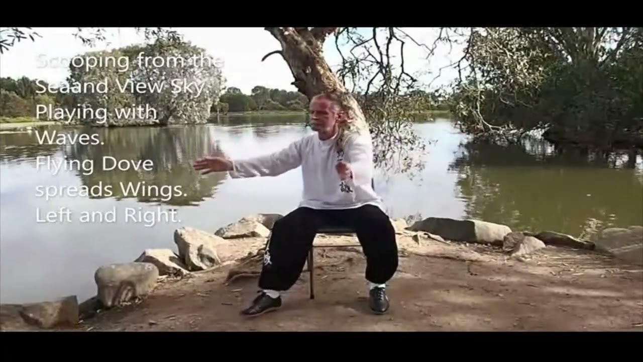 Seated Shi Ba Shi Qigong Set 1.  for Seniors (improved version)