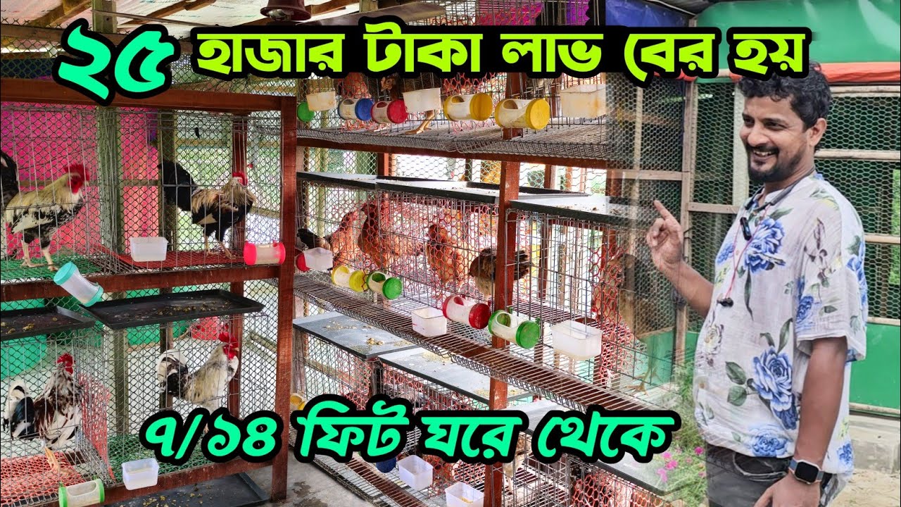 প্রতি মাসে ২৫ হাজার টাকা লাভ দেশি মুরগি পালন করে