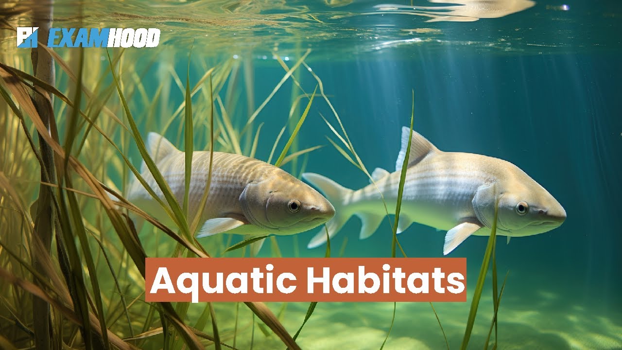 AQUATIC HABITATS