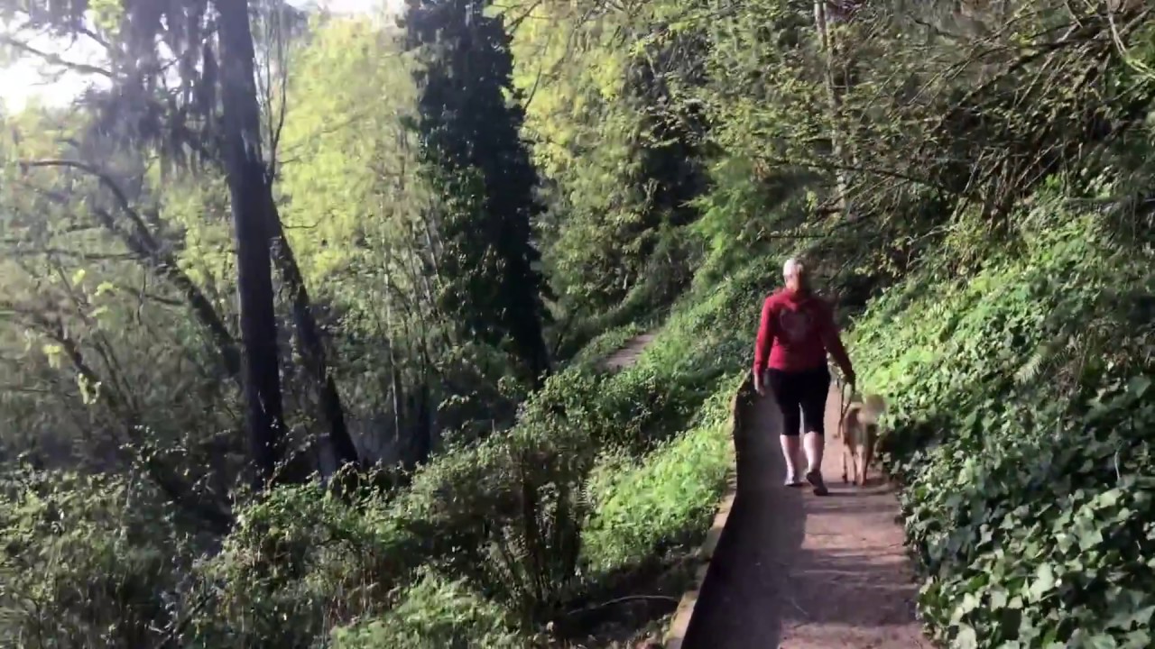 Neighborhood Run