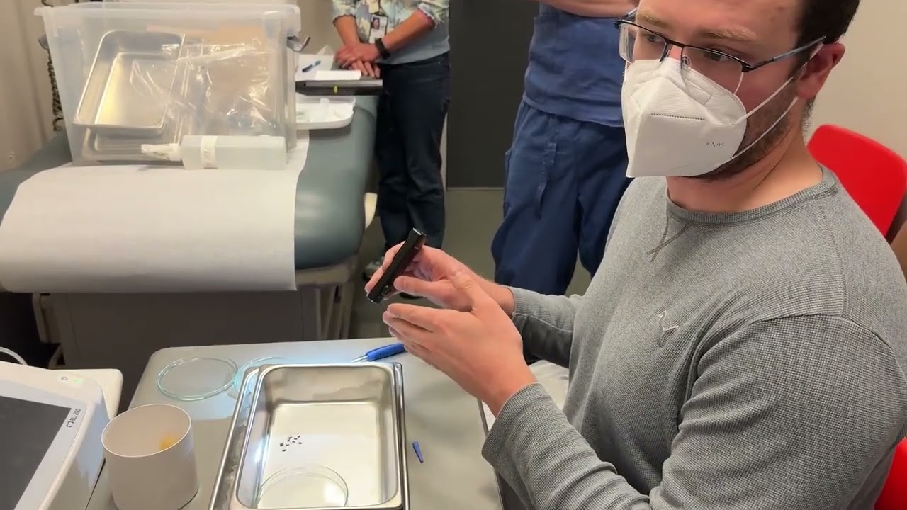 How do scientists determine whether a mosquito feeding session was successful?