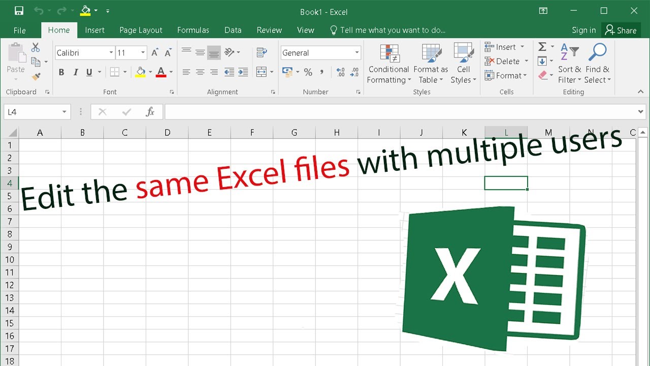 Edit a file in excel with multiple users - Excel