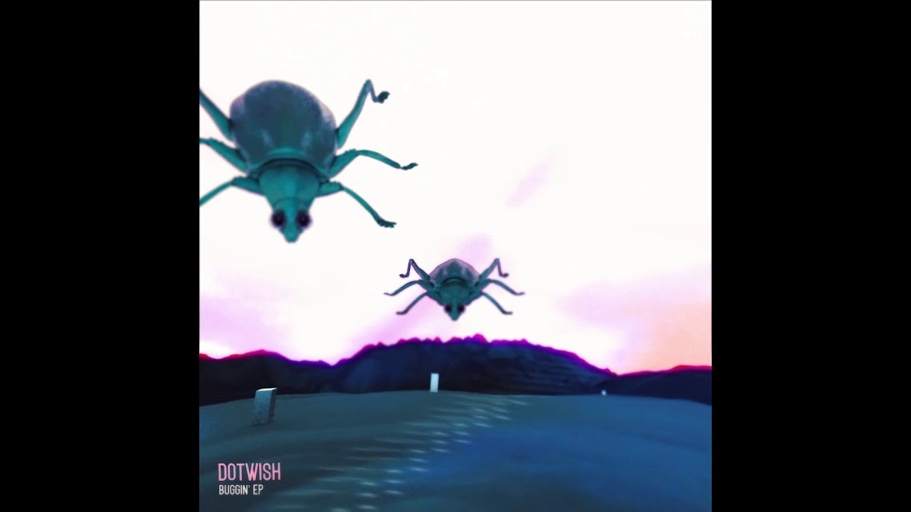 Dotwish - Buggin' [Bandcamp]