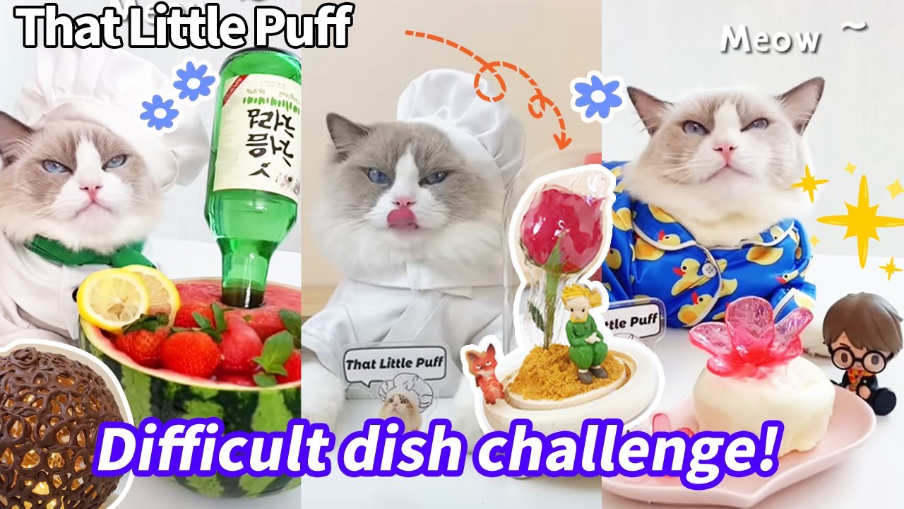 😆Difficult Dish Challenge | That Little Puff