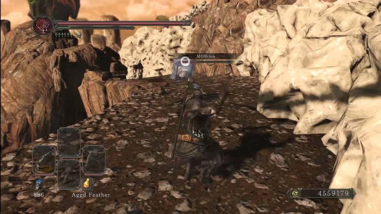 Dark Souls 2 PvP - A Dragonrider and His Trusty Wyrm.