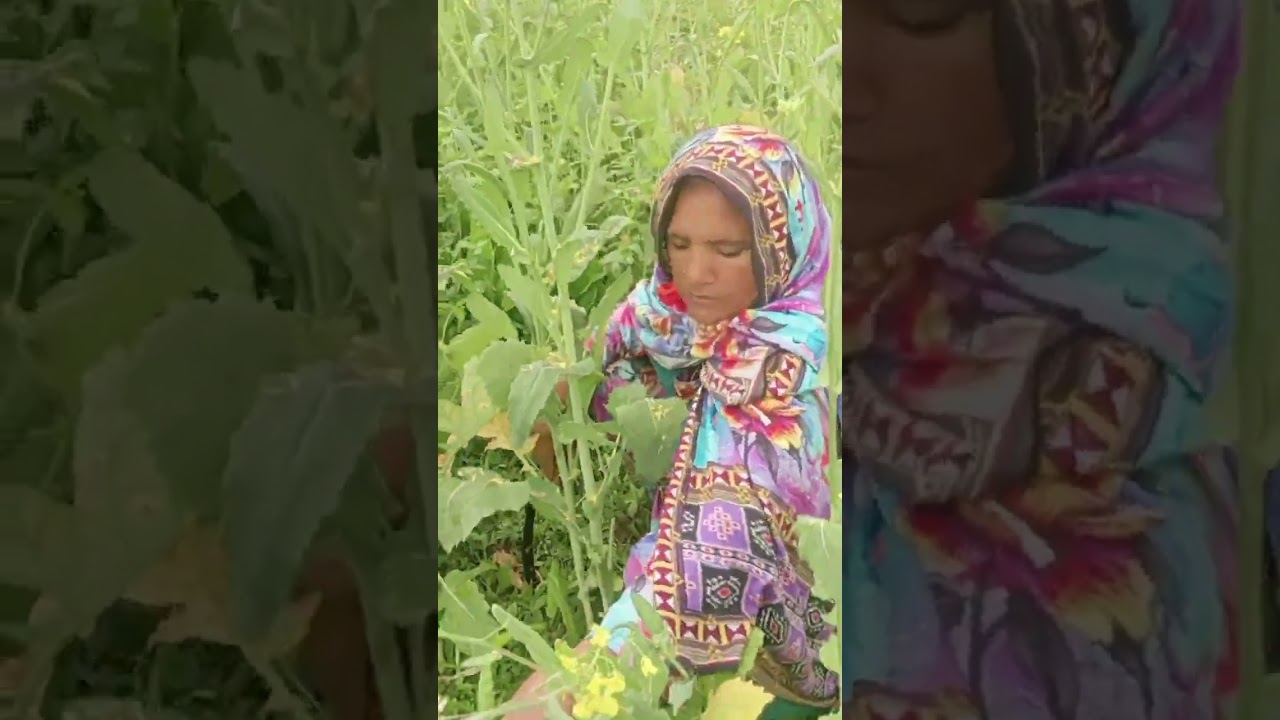 Plz viral this video 