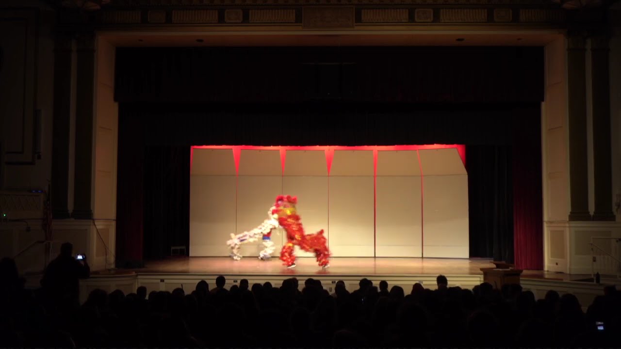 Lunar New Year Performance 2026