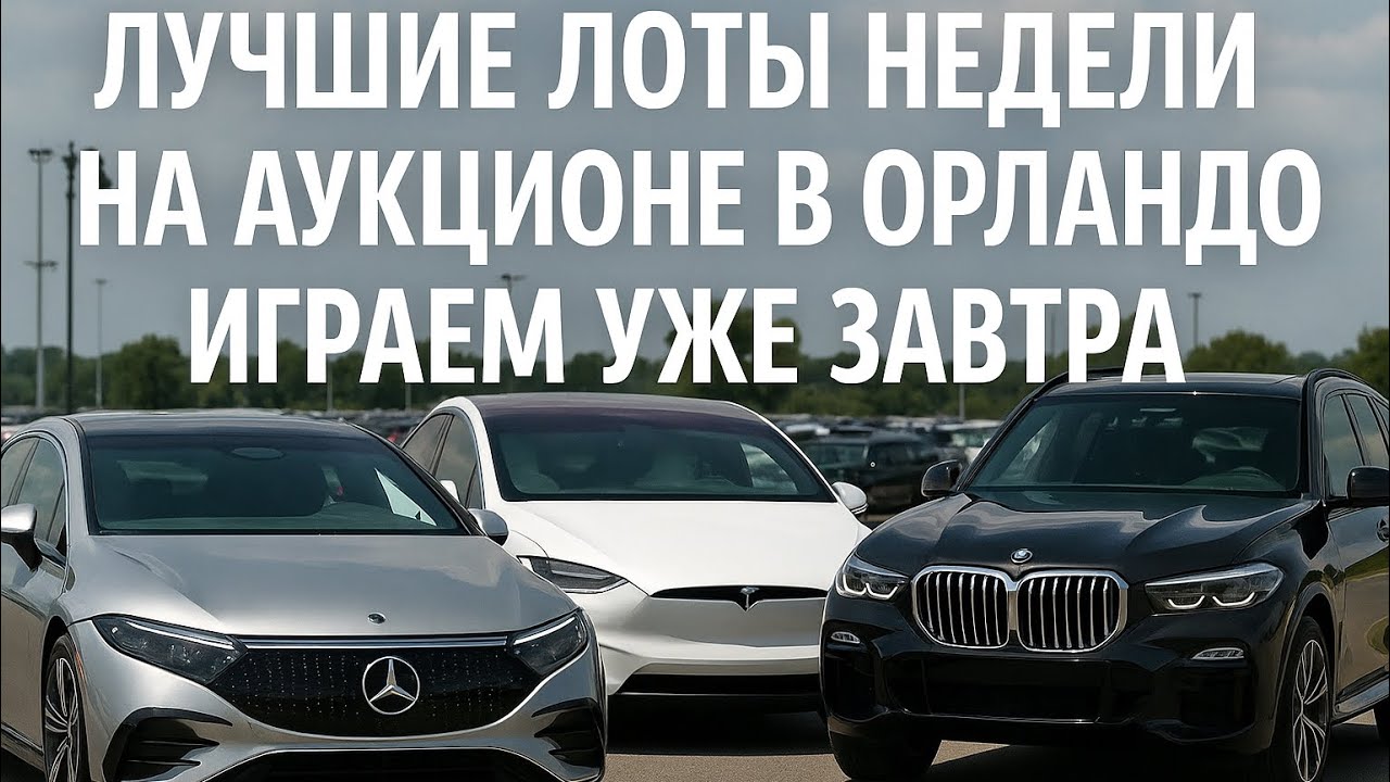 Лучшие лоты недели на Аукционе в ОРЛАНДО! Самое время покупать!