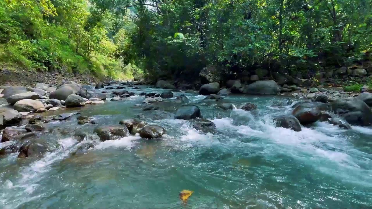 Relaxing River Sounds for Focus, Studying & A Peaceful Home 🌿 Relaxing Sleep Calming Anxiety