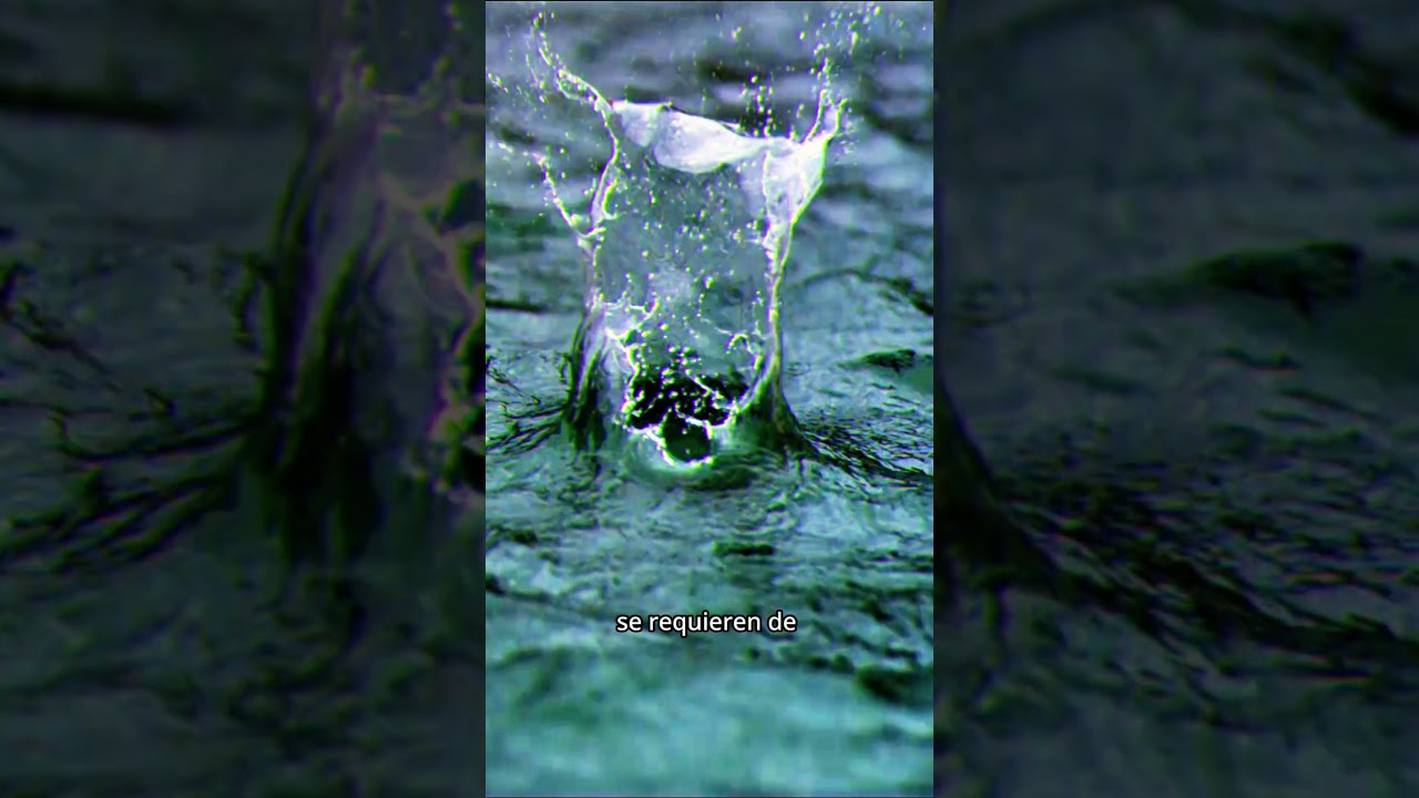 Cultura del Agua es...  #conagua #agua #culturadelagua