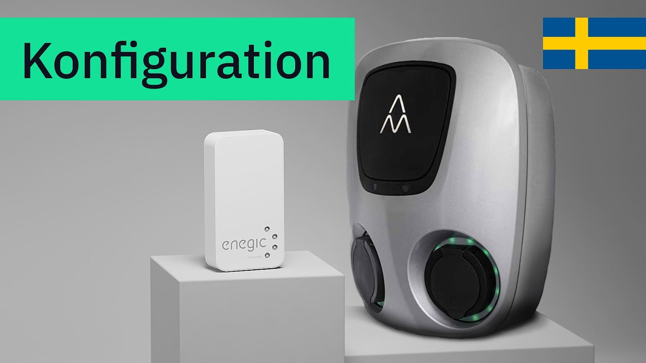 Konfiguration Enegic Monitor [Integration Charge Amps]