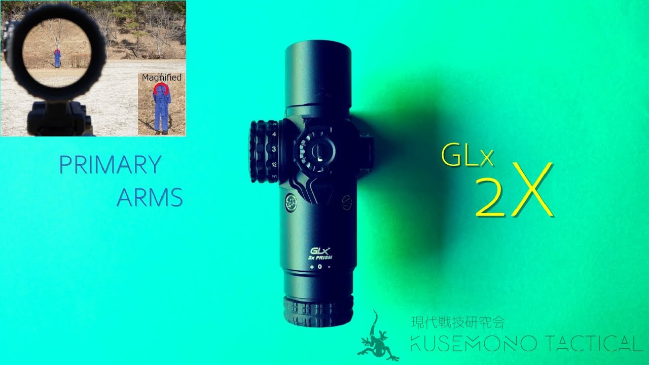 Primary Arms - GLx 2X Prism Scope FPV Review