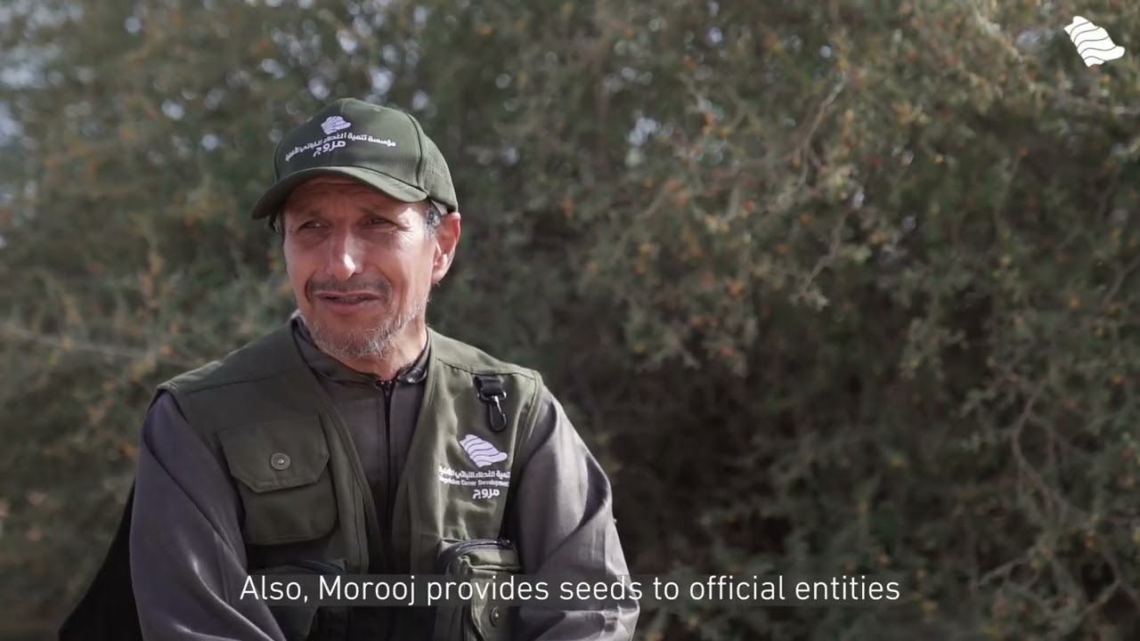 رحلة بنك البذور 🌱