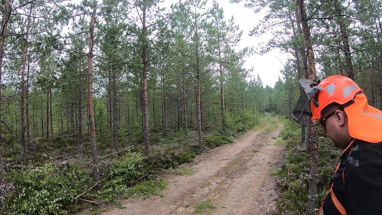 Raivaus urakkaa etemp&auml;&auml;ki kuvattuna