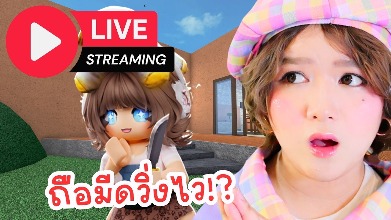 🔴 LIVE ปามีดโคตรจะไวอะ! ไวสุดๆ! MM2  | Roblox: MM2