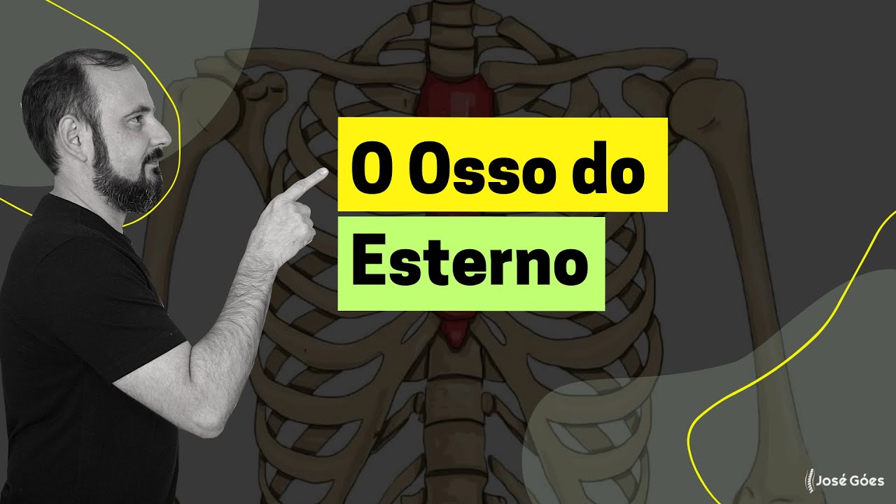O Osso do Esterno | José Góes