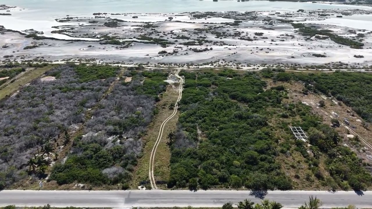 A Salty Spit of Land