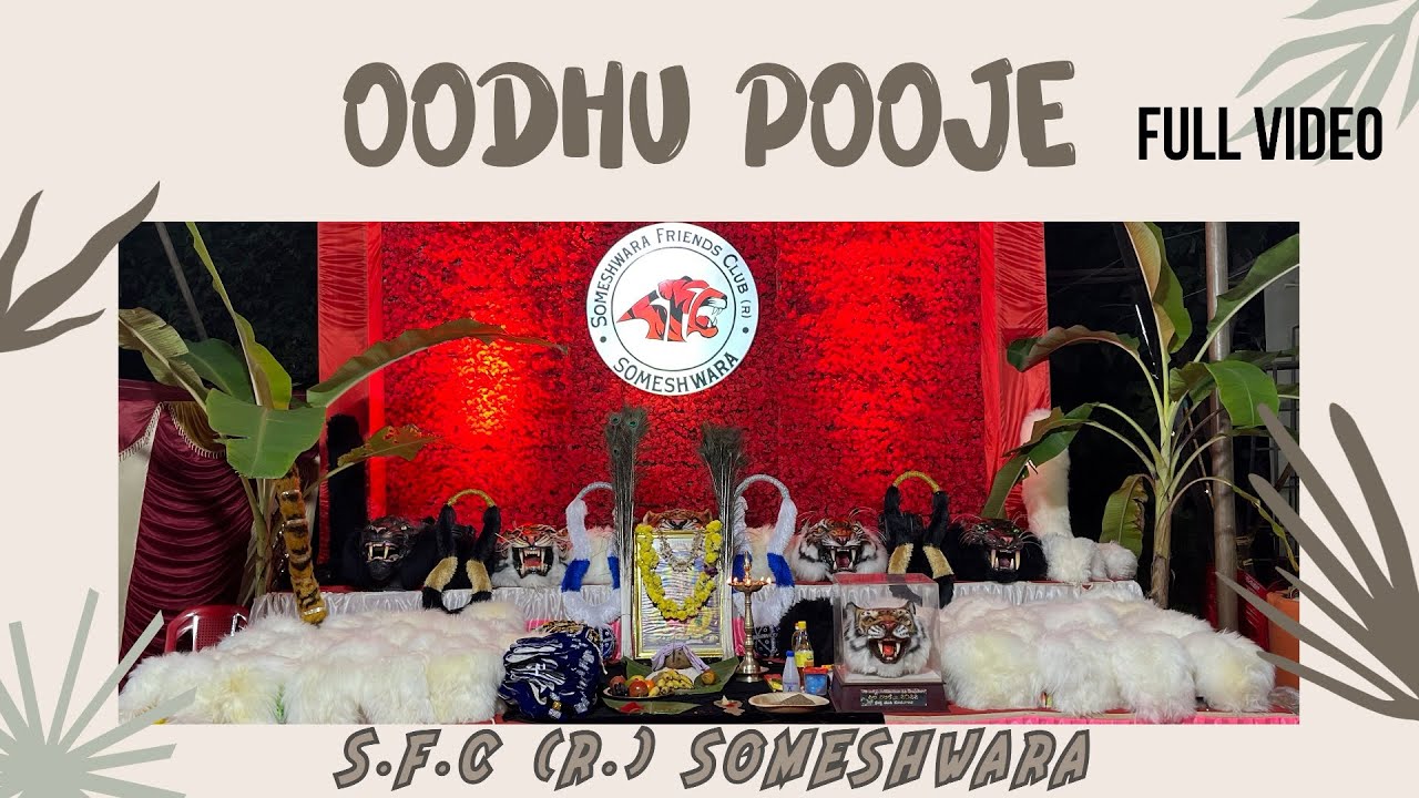 S.F.C(R.) Someshwara| Oodhu Pooje|ಊದು ಪೂಜೆ🐯