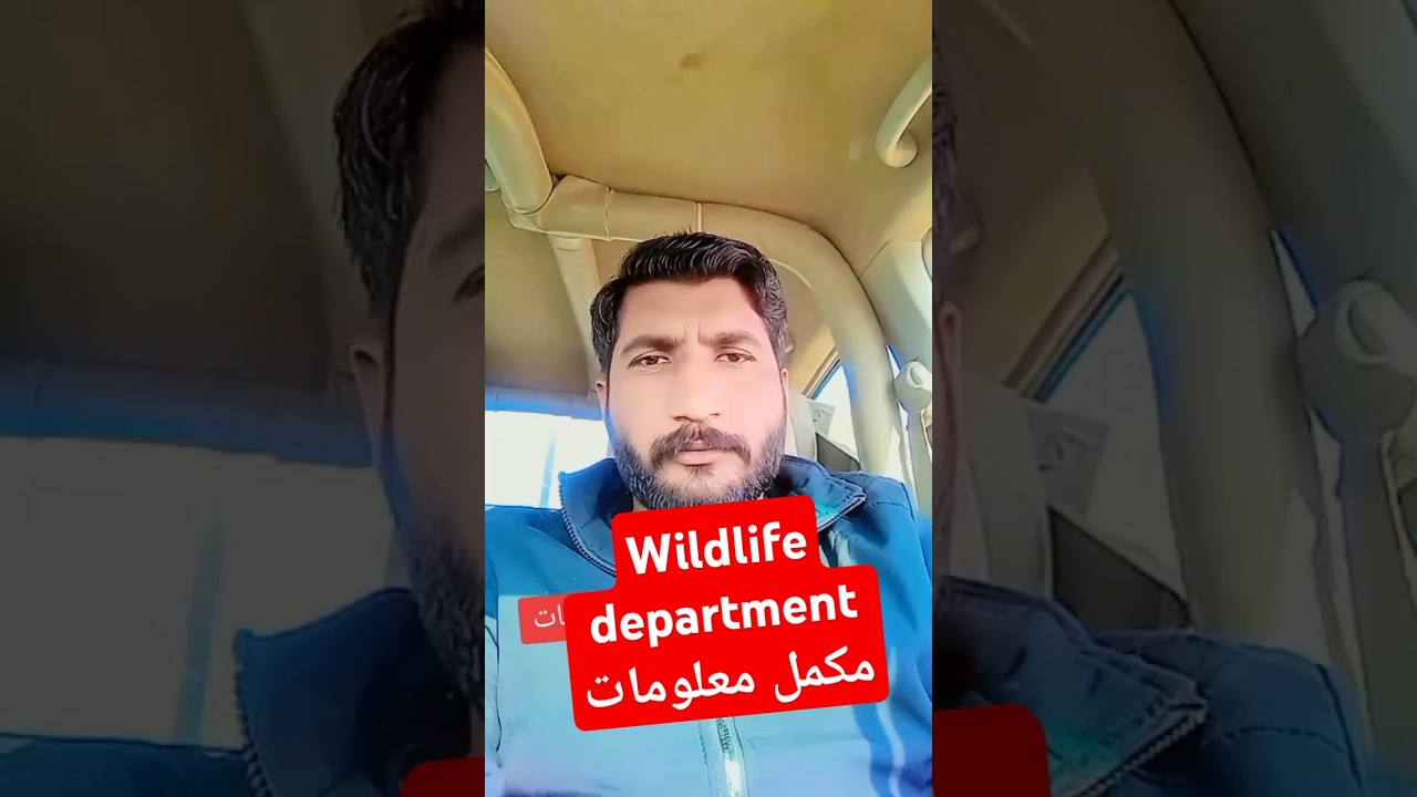 Punjab wildlife Ranger force..full information..👍👍 #punjabwildlife #wildliferanger #wildlife