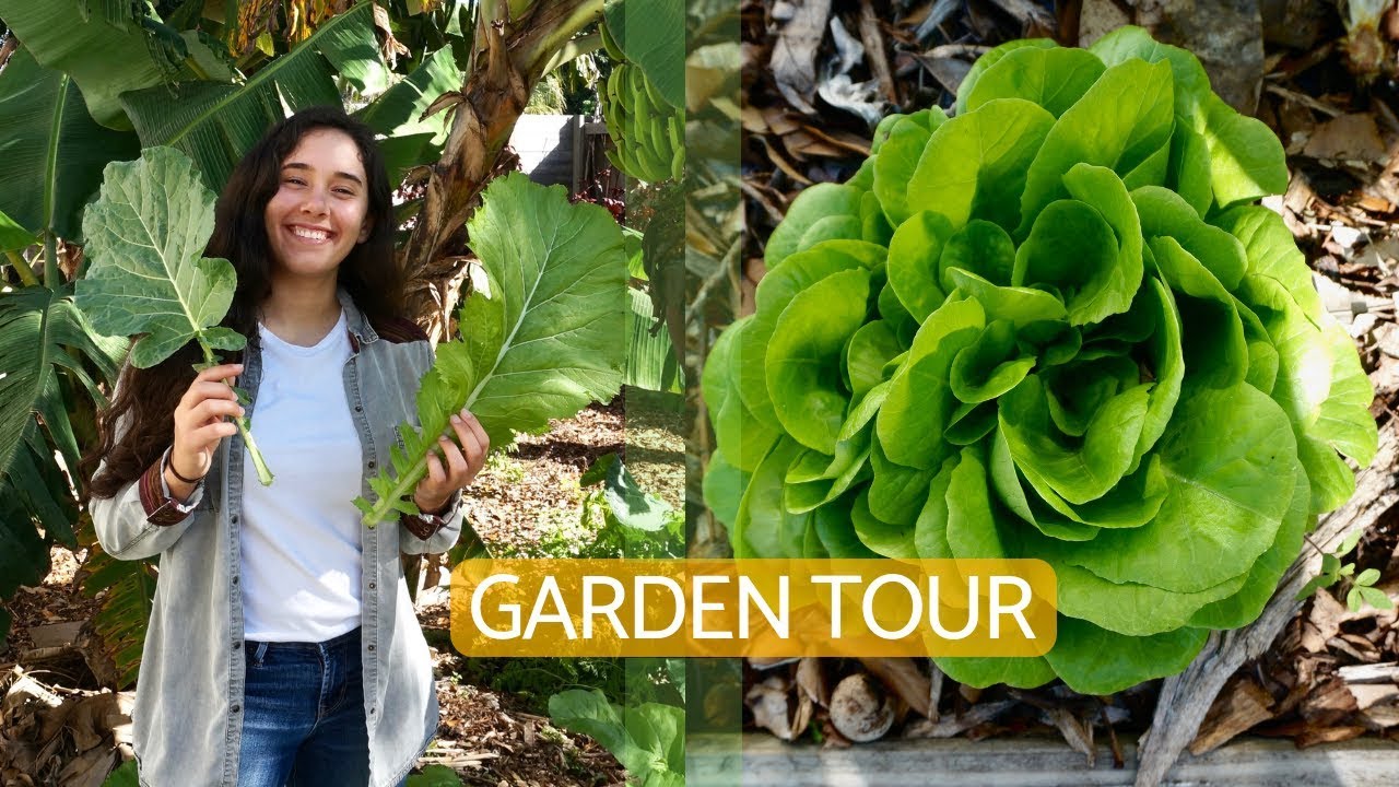 Winter Veggie Garden Tour || South Florida || Pt 2