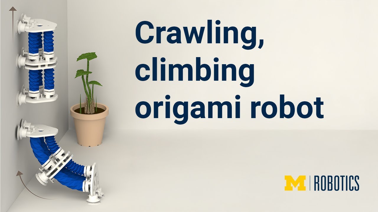 Soft origami robot inch-worms its way up walls