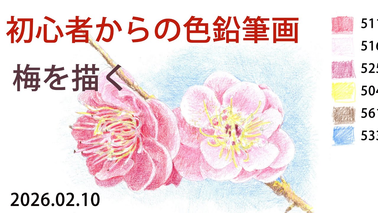 【色鉛筆画レッスン】季節の花を描きます～初心者からOK