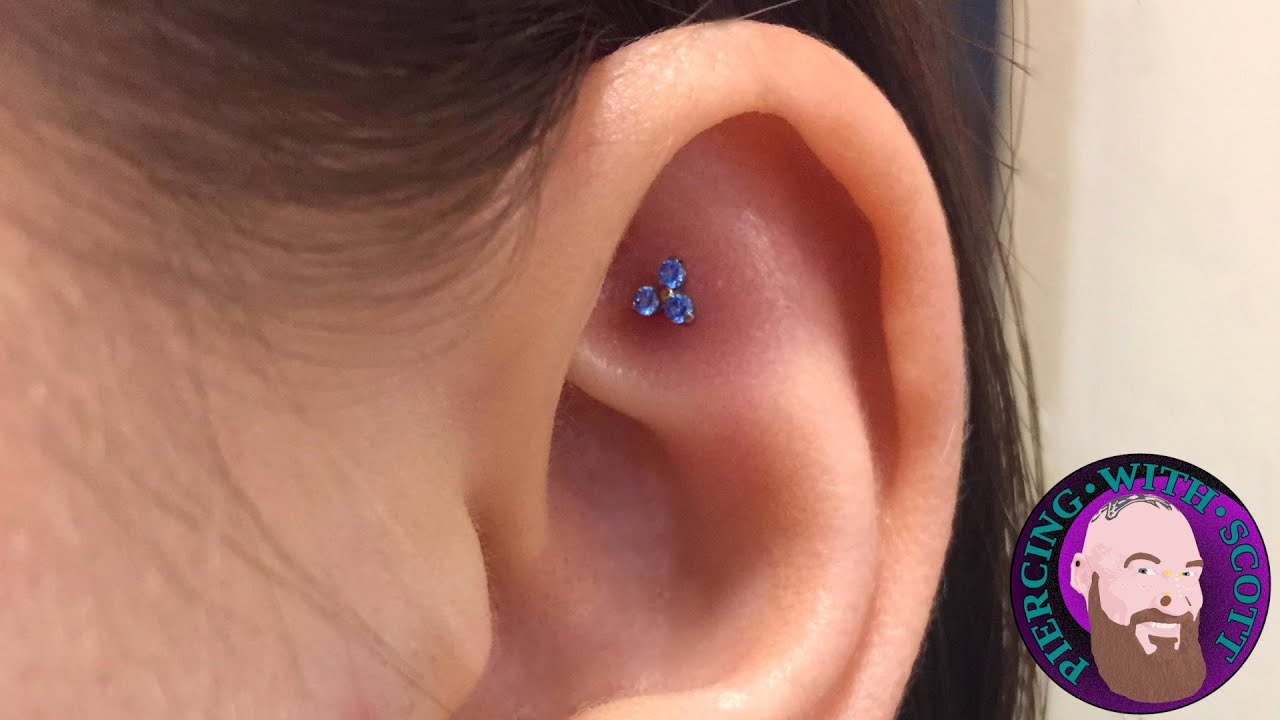 The Whole Truth - Faux Rook Piercing
