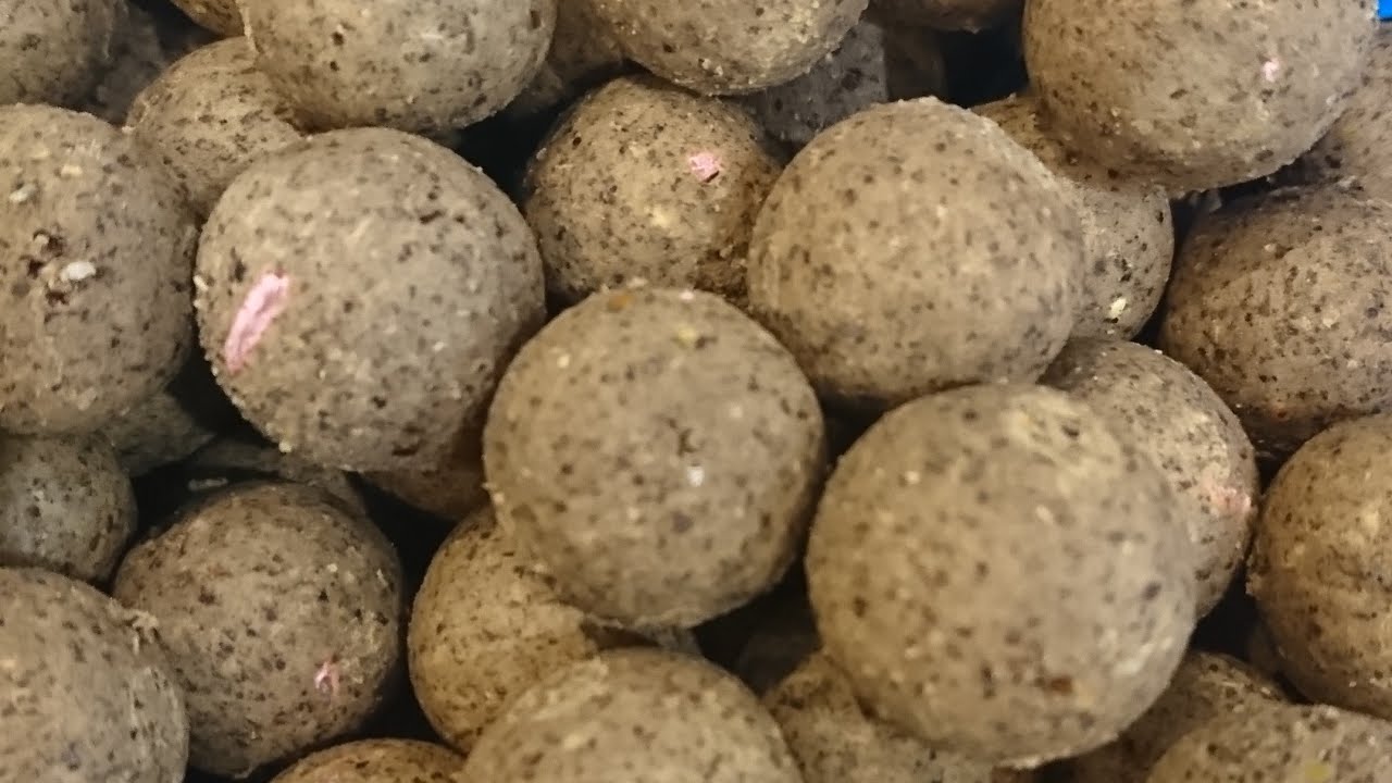 Boilies Konservieren, die verschiedenen Arten.