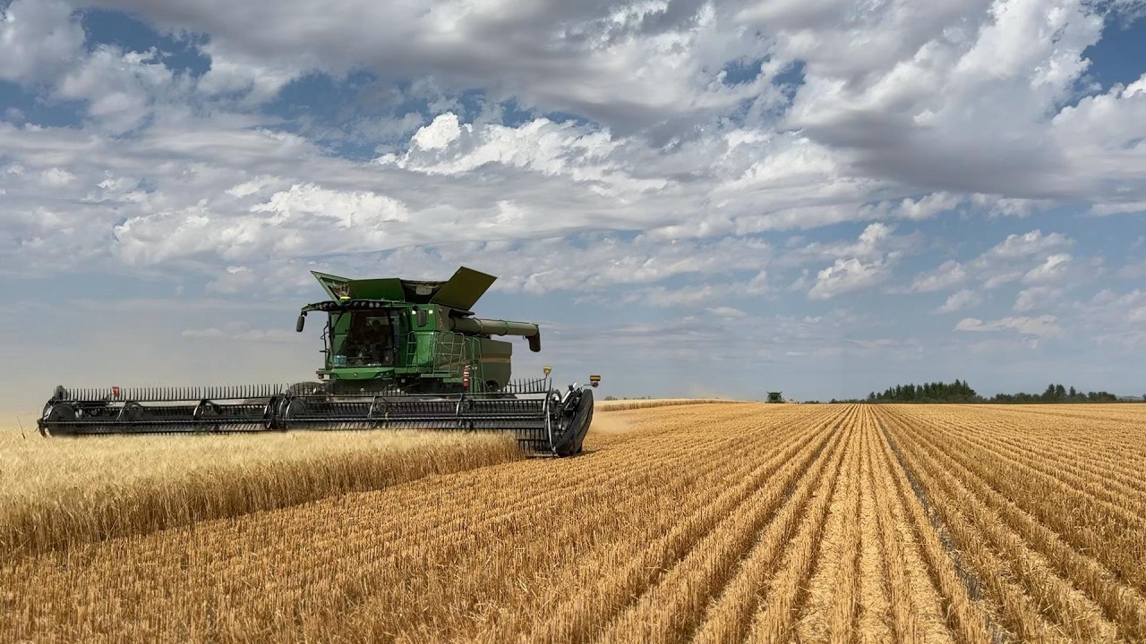 Hawkins Farm 2024 Harvest