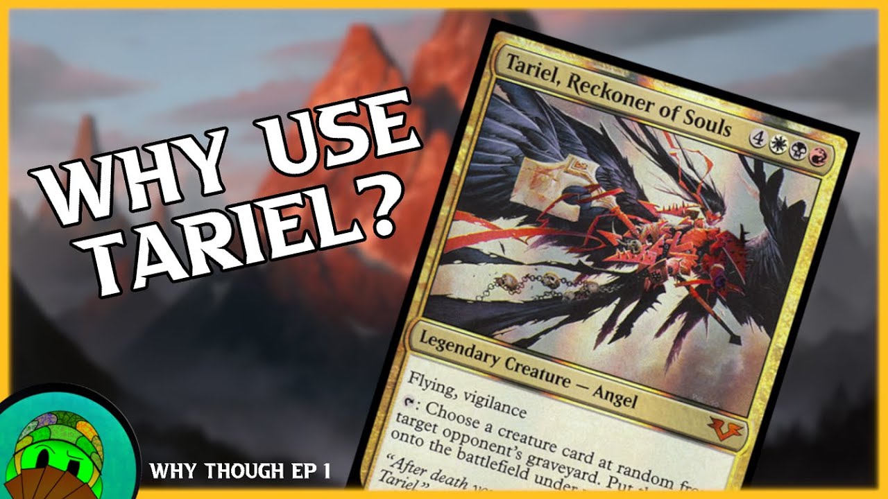 Why use Tariel as your commander? | WT Episode 1