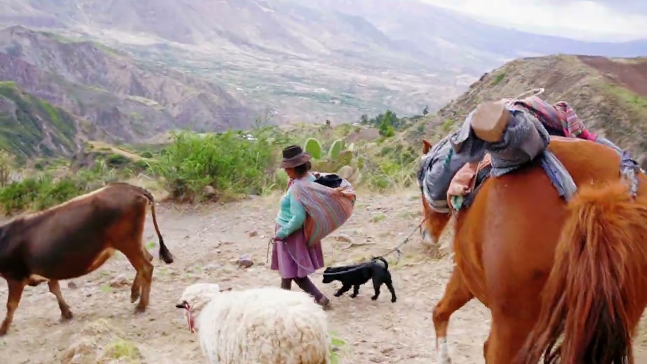 Huancavelica,Churcampa  SAN MATEO 2025(de 2025)